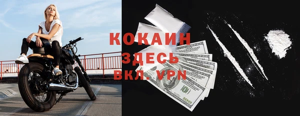 сатива Белокуриха