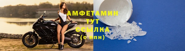 сатива Белокуриха