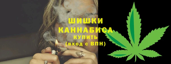 сатива Белокуриха