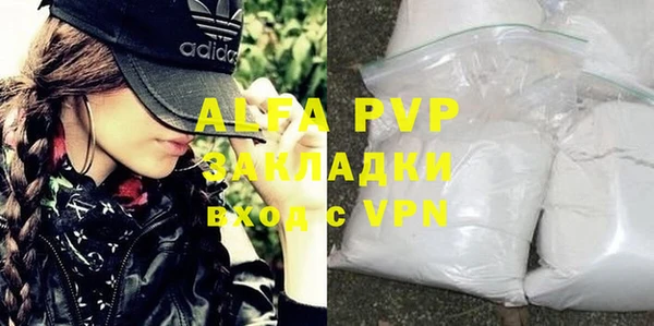 сатива Белокуриха