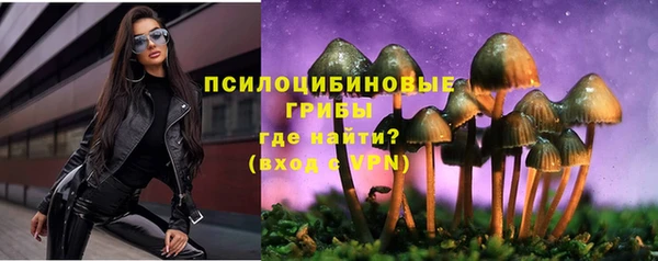 тгк Беломорск