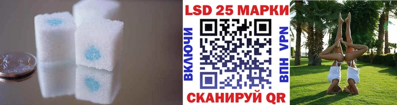 блэк спрут сайт  Михайлов  Лсд 25 экстази ecstasy 