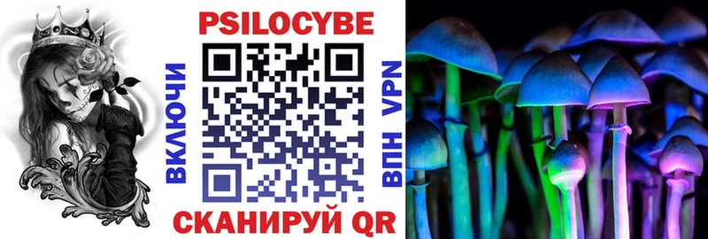хочу Михайлов Псилоцибиновые грибы MAGIC MUSHROOMS